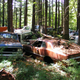 Illustration for article titled Massive Secret Mustang Junkyard Found In Rhode Island Forest